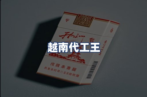 越南代工王